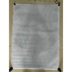 南佛罗里达大学学士证书